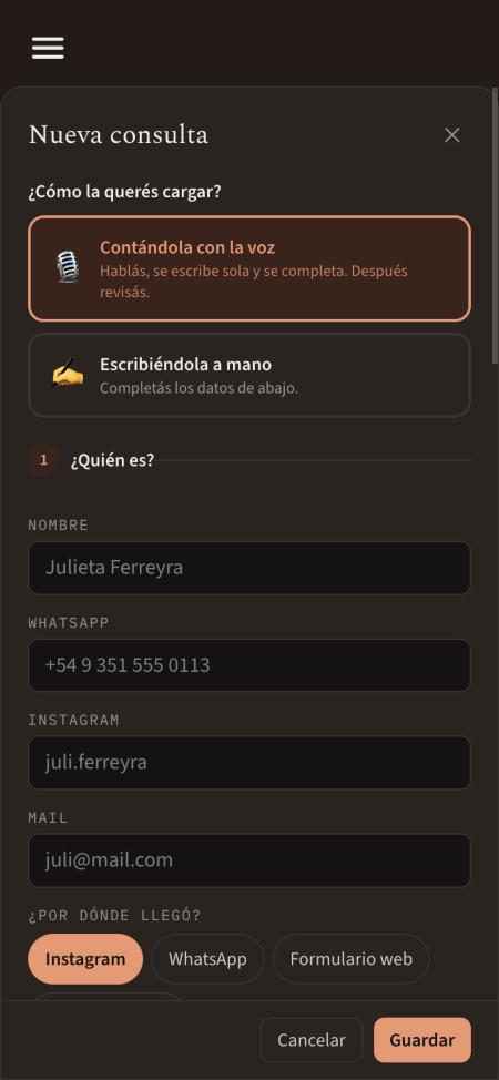 Nueva consulta: con la voz o a mano