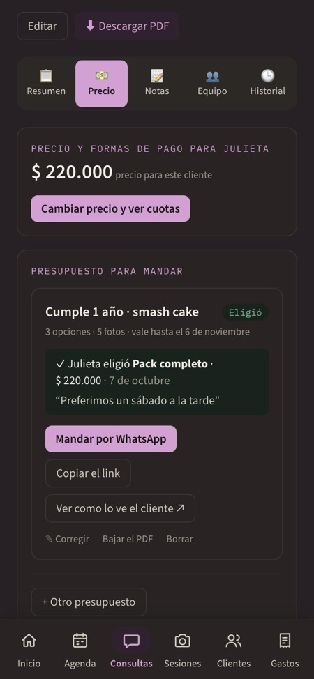 Lo que eligió, en la ficha de la consulta