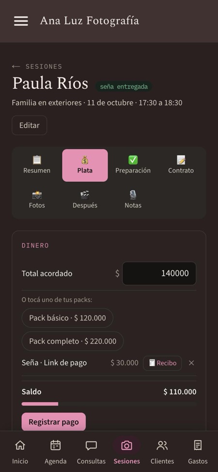 Pestaña Plata: total, pagos y saldo